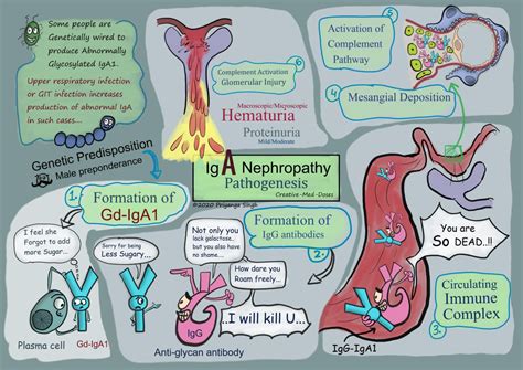 iga nephropathy stage 1