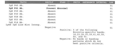 igg p41 ab present lupus