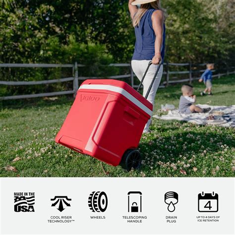 Igloo Cooler Ice Cube