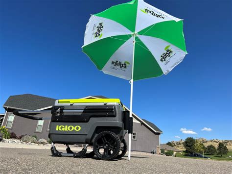 Igloo Cooler Umbrella