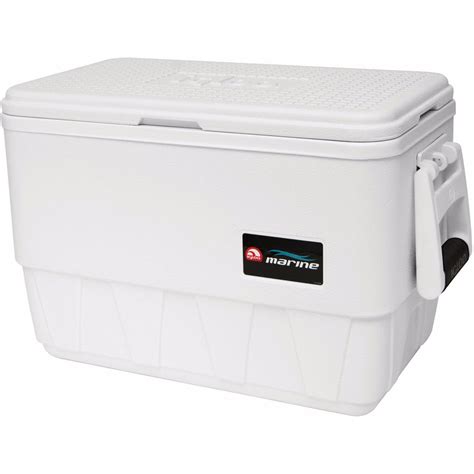 Best Portable Igloo Marine Cooler Revealed!
