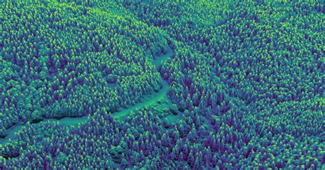 Carte ign Foret de Haye Nancy Toul 1 € la livraison