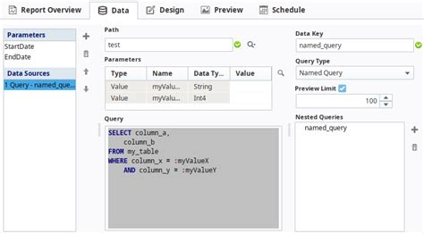 Ignition Call Named Query From Script