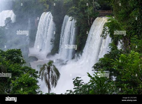iguazu falls upper trail