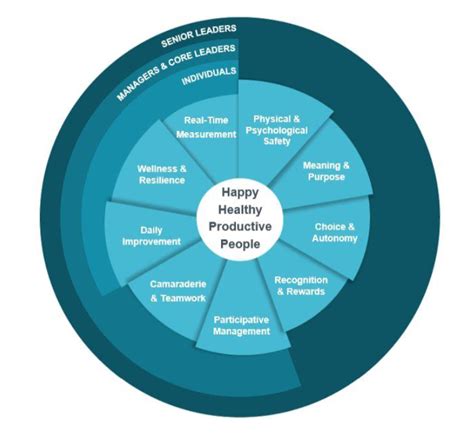 ihi quality improvement definition