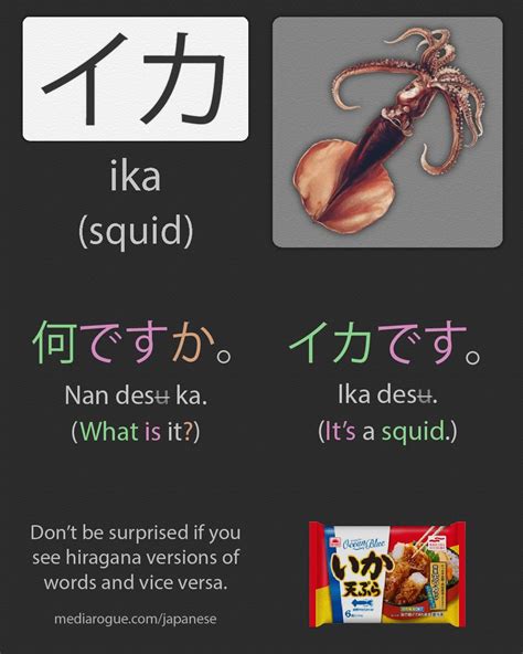 ika meaning in japanese