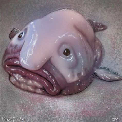 Ikan Blopfish: Ikan Paling Jelek di Dunia (Tapi Menarik)