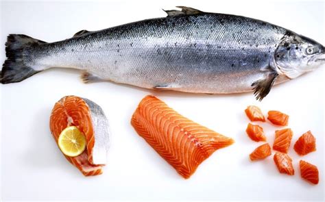 Ikan