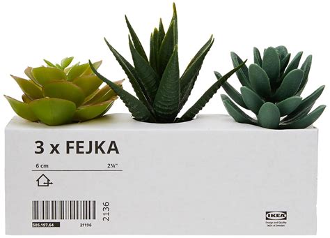Ikea Fejka Amazon