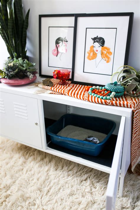 Ikea Hack Litter Box Cabinet