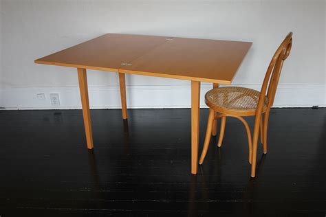 Ikea Jussi Folding Table