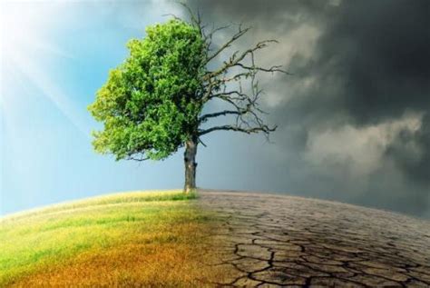iklim değişikliği ve tarım