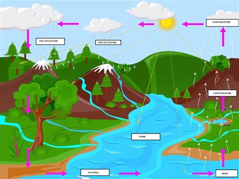 il ciclo dell acqua video