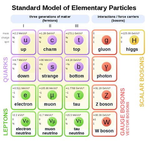 il modello standard delle particelle