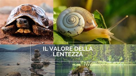 Subject Il Valore Della Lentezza References