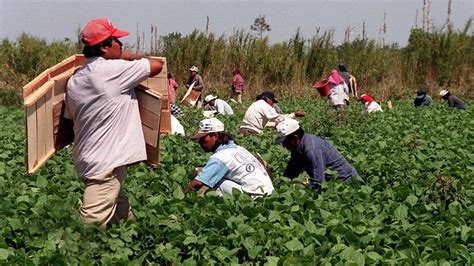 illegal farm workers in america