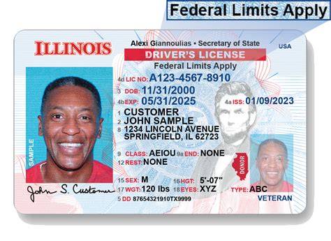 illinois driving license sample