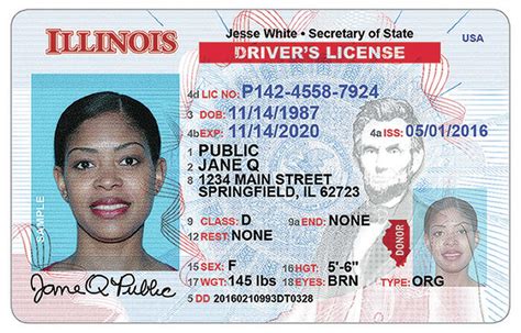 illinois rt license verification
