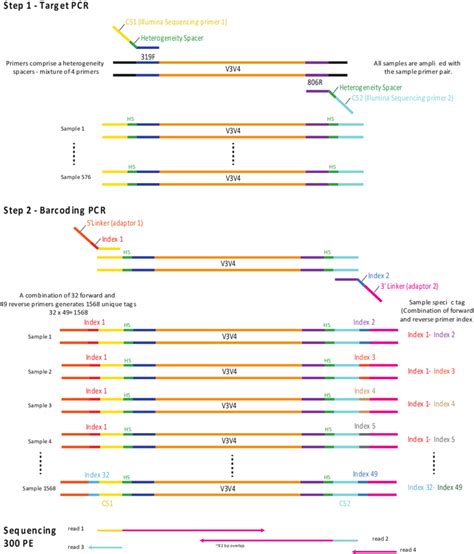 illumina 16s library prep