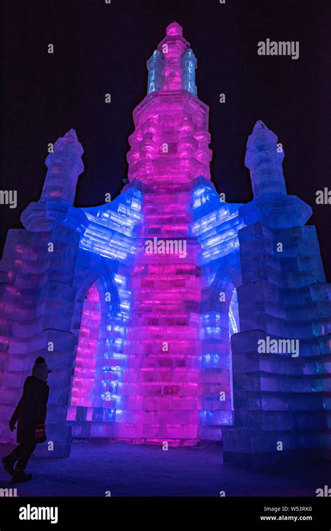 illuminated Ice Sculptures at Night