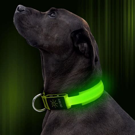 illuminated dog collar rechargeable