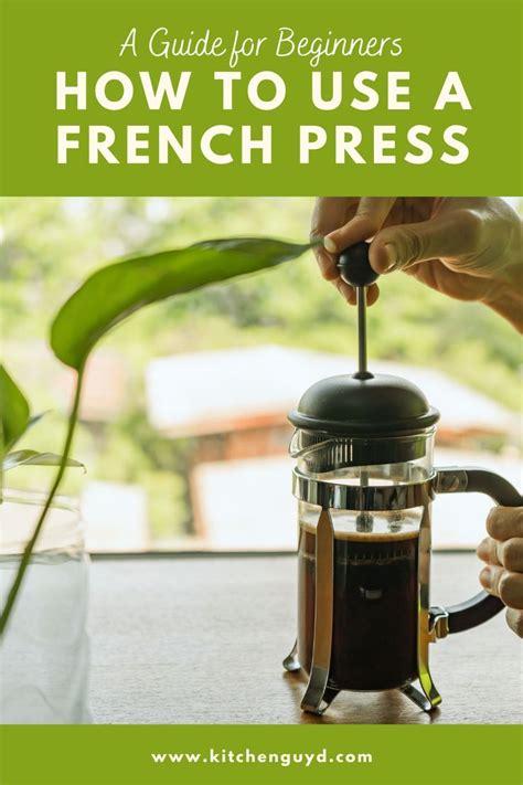 Illy French Press Instructions