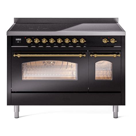 Ilve Induction Stove