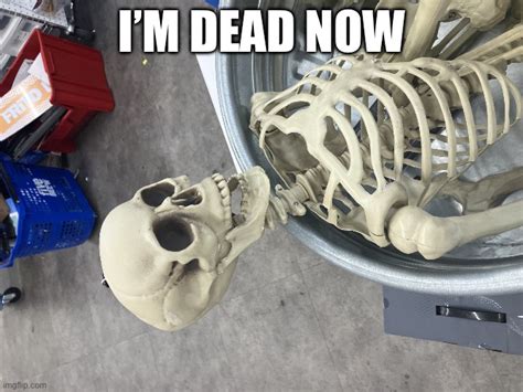 Im Dead Meme