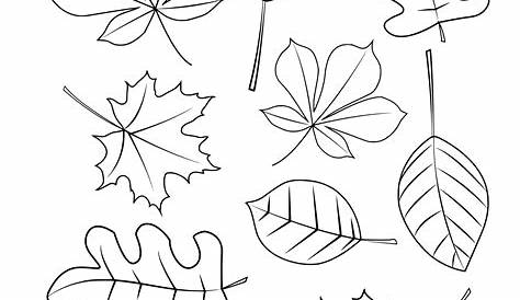 Image associée | Leaf coloring page, Fall leaves coloring pages, Fall