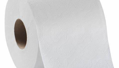 Toilet paper roll stock photo. Image of paper, roll, used - 44768674
