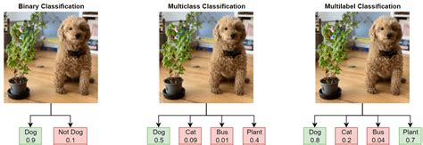 image classification example