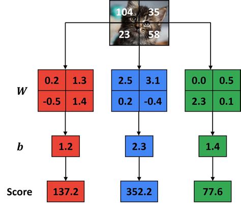 image classification example pytorch