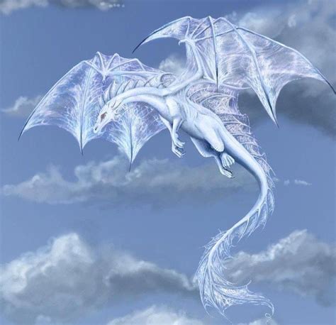 image de dragon blanc