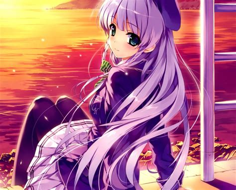 image des mangas