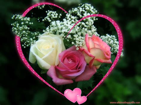 image fleur d amour