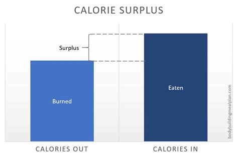 calorie surplus