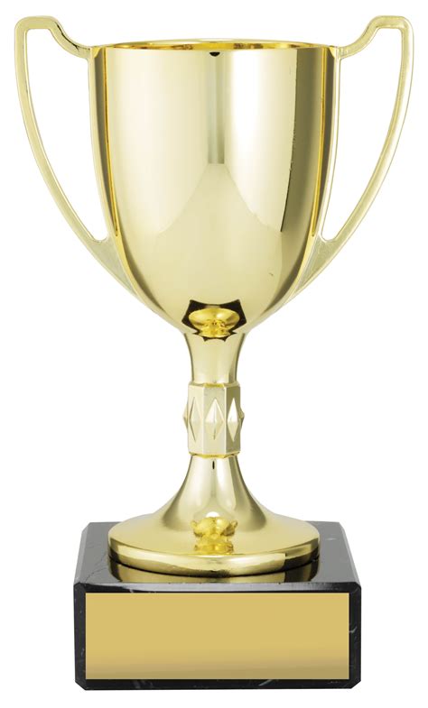 image of trophy cup