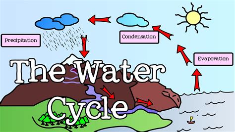 image of water cycle for kids