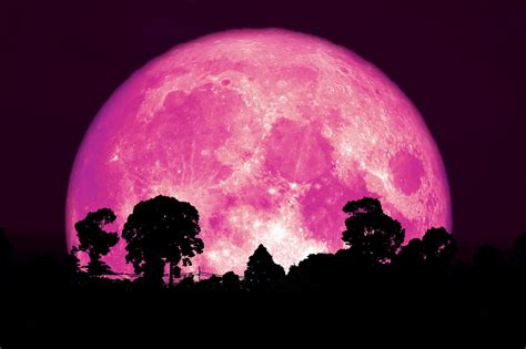 image pleine lune ciel rose