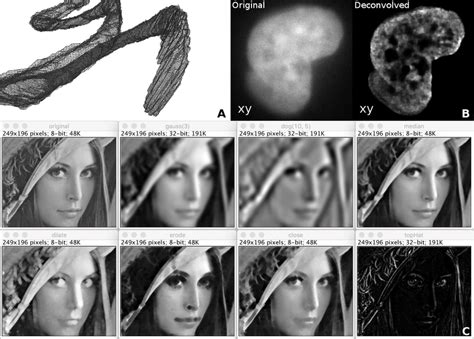 image processing algorithms examples
