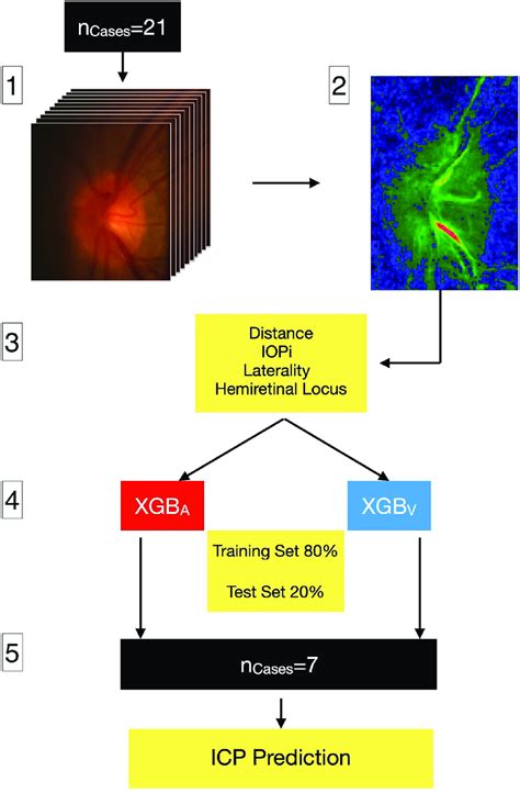image processing analysis