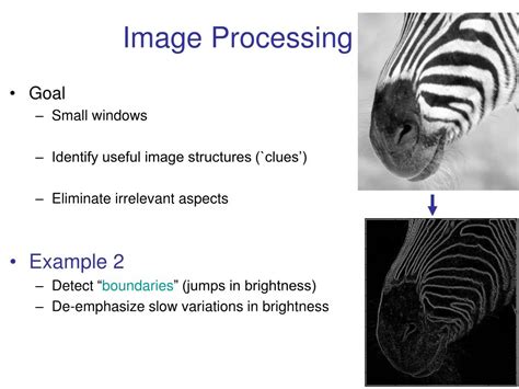 image processing example picture