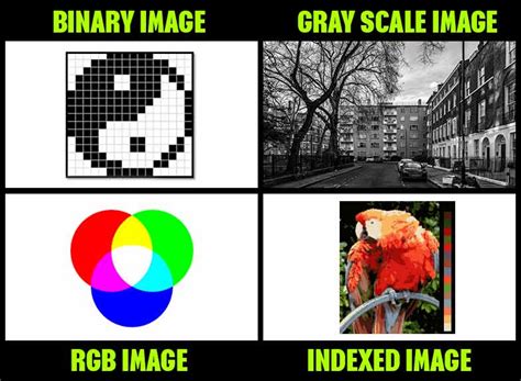 image processing examples in real life
