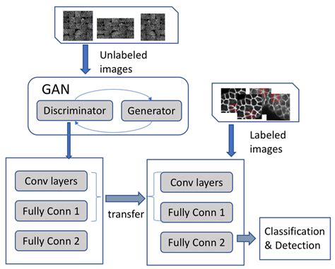 image processing using gan
