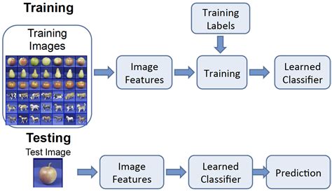 image recognition process
