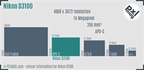 Image Sensor Size Of Nikon D3100