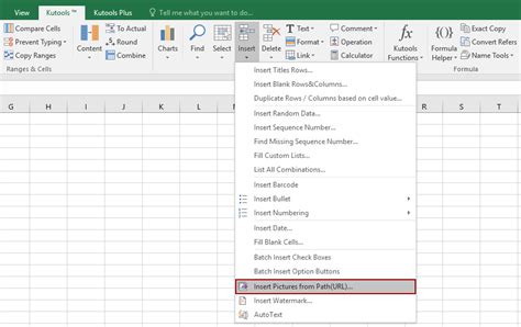 image url to image in excel