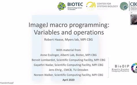 Imagej Macro List
