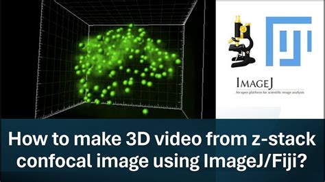 Imagej Z Stack Merge