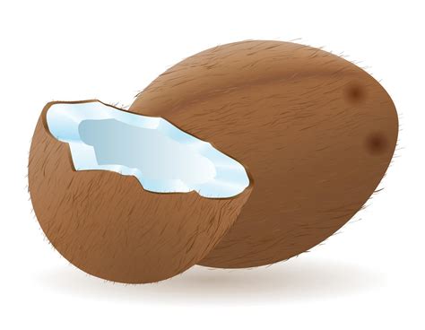 imagem de coco desenho